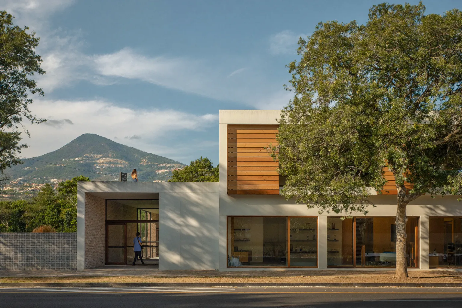 La fachada de Dental Norte, de madera clara, con el Cerro de la Silla al fondo