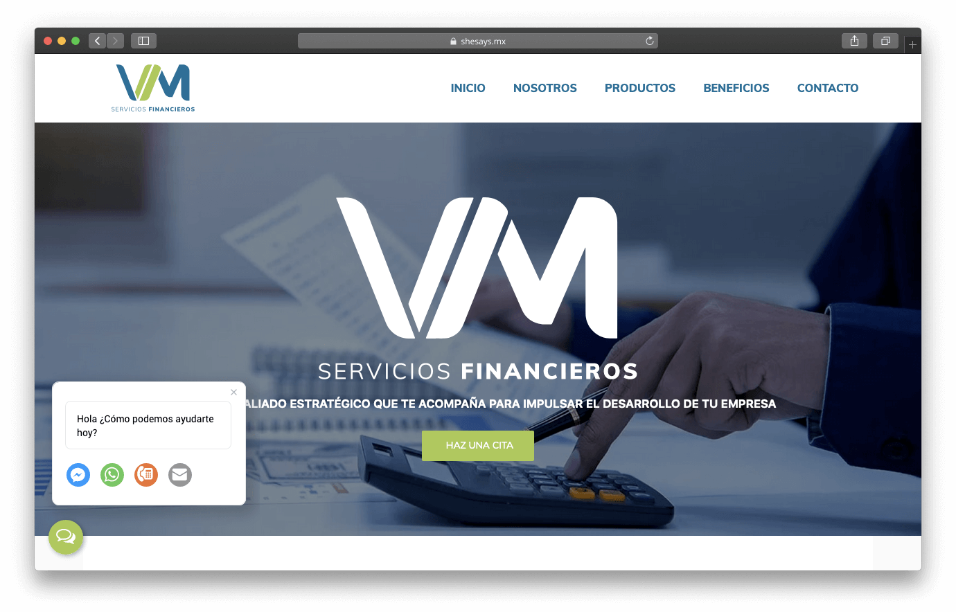 vmservicios.com